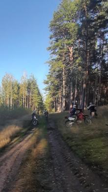 Motocykle w lesie