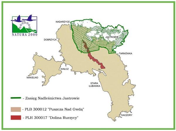 Nadleśnictwo Jastrowie na tle obszarów Natura 2000